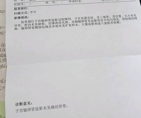 journal_insert_pic_1070709544