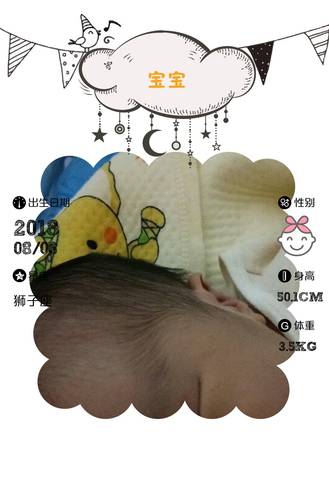 journal_insert_pic_1070773058