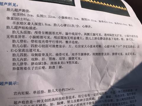 journal_insert_pic_1071254094