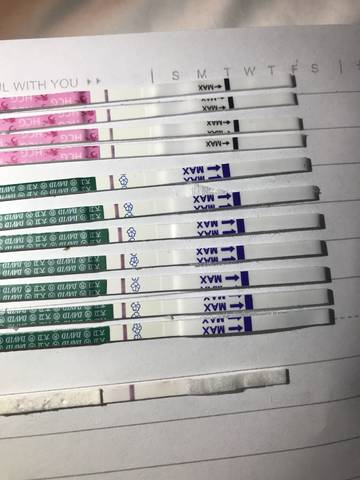journal_insert_pic_1071407334