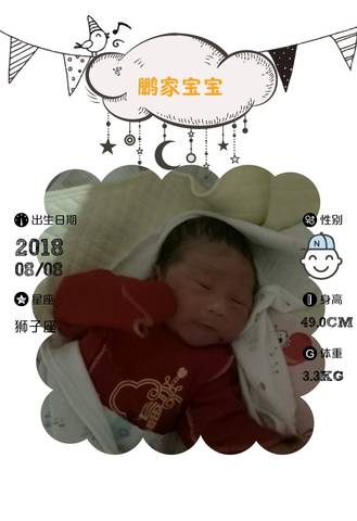 journal_insert_pic_1071151909