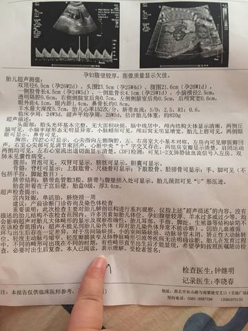 journal_insert_pic_1071888987