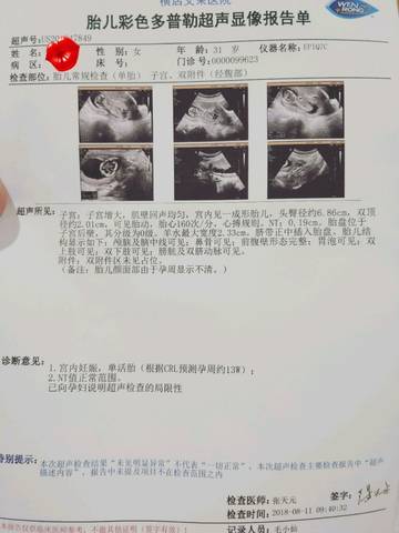 journal_insert_pic_1071842856
