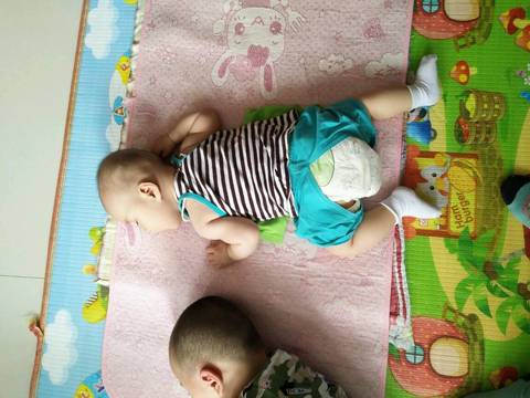 journal_insert_pic_1072638713