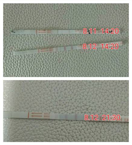 journal_insert_pic_1072870997