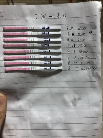 journal_insert_pic_1073035904