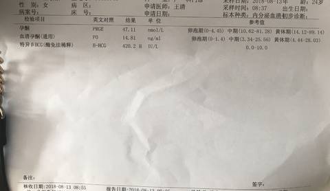journal_insert_pic_1073623674