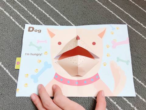 journal_insert_pic_1073274307