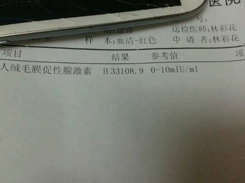 journal_insert_pic_1073463732
