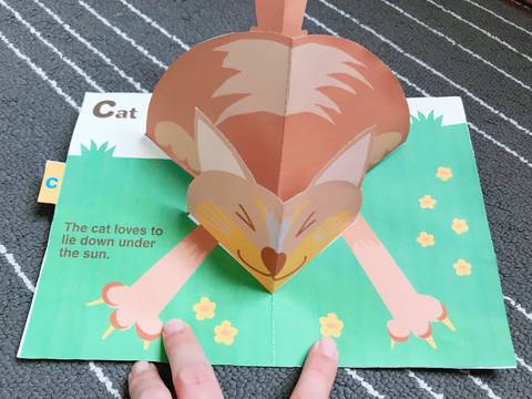 journal_insert_pic_1073274297