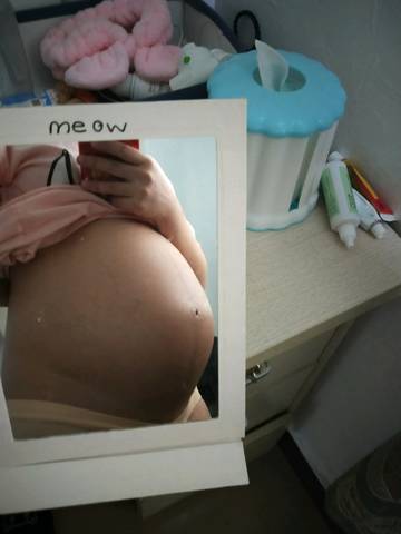 journal_insert_pic_1073875059