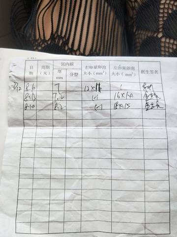 journal_insert_pic_1074053389