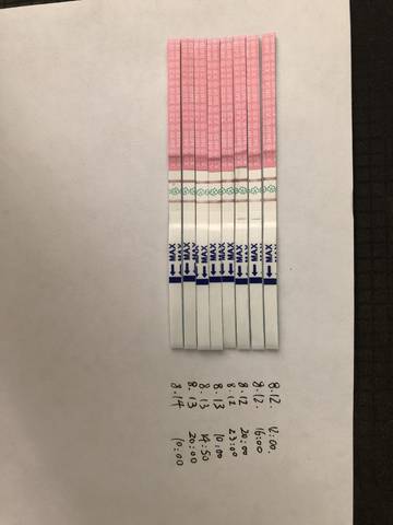 journal_insert_pic_1073825758