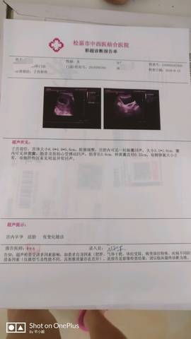journal_insert_pic_1074544782