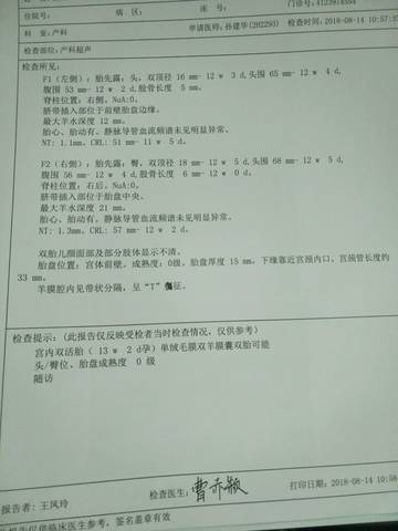 journal_insert_pic_1074654454