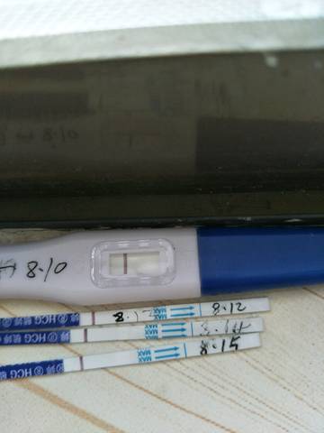 journal_insert_pic_1074655965