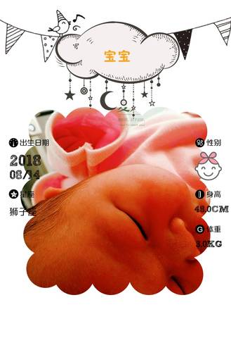 journal_insert_pic_1075350969