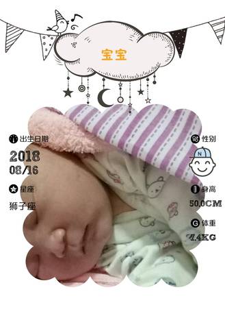 journal_insert_pic_1075773068