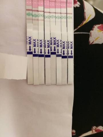 journal_insert_pic_1075570949