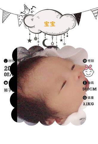 journal_insert_pic_1075820963