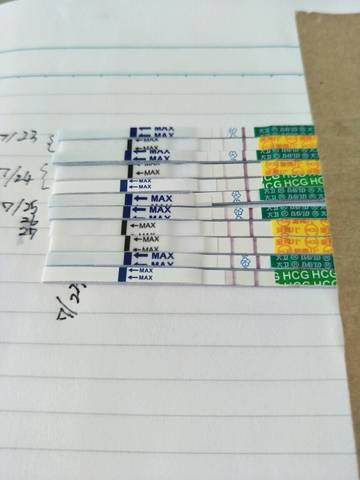 journal_insert_pic_1075594937