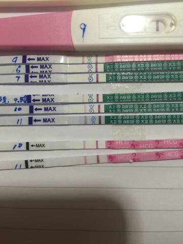 journal_insert_pic_1076221119