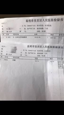 journal_insert_pic_1076342239