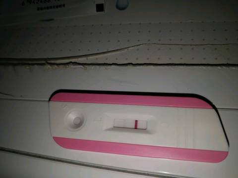 journal_insert_pic_1076105831