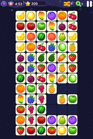 journal_insert_pic_1076156630