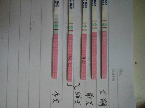 journal_insert_pic_1076761190