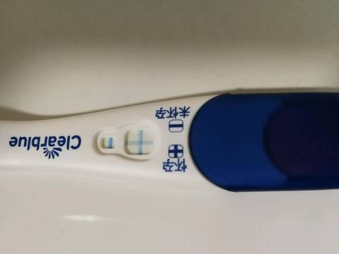 journal_insert_pic_1077130644