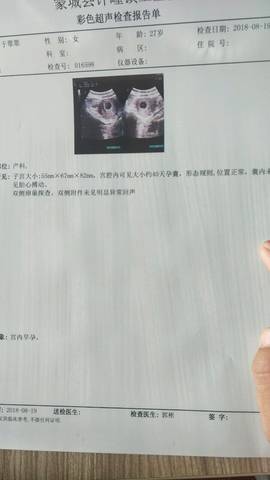 journal_insert_pic_1076805020
