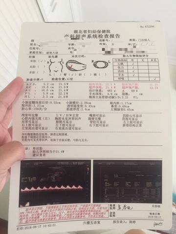 journal_insert_pic_1077526574