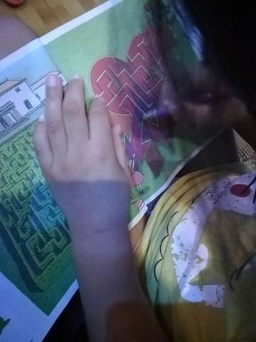 journal_insert_pic_1078373302