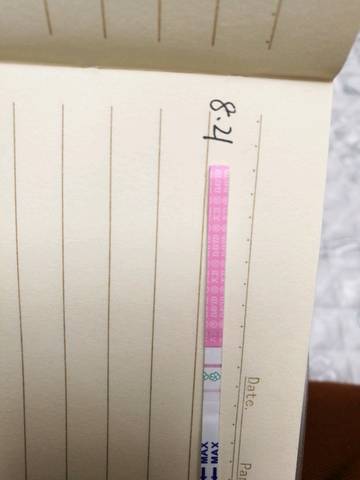 journal_insert_pic_1078364298