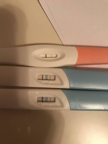 journal_insert_pic_1079578134