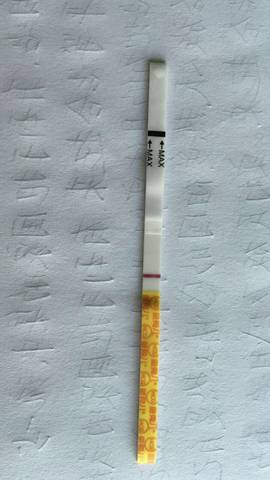 journal_insert_pic_1079695451