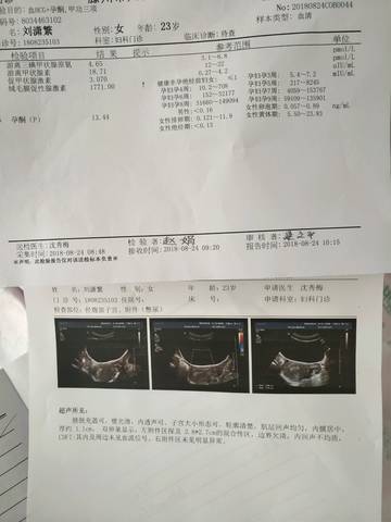 journal_insert_pic_1080062916