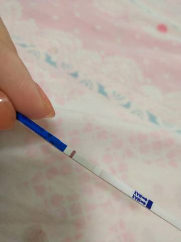 journal_insert_pic_1080425824
