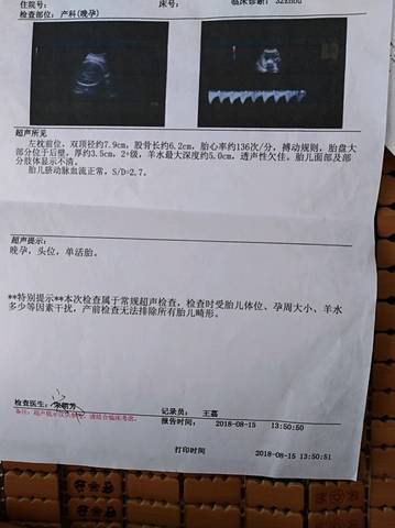 journal_insert_pic_1082684049