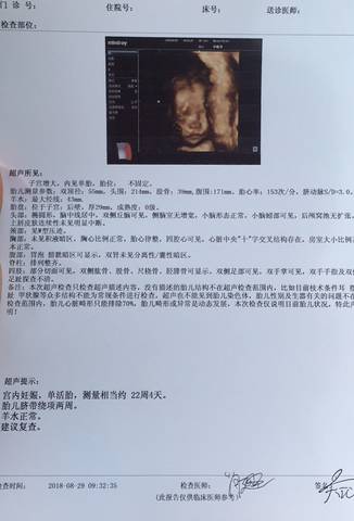 journal_insert_pic_1083159115