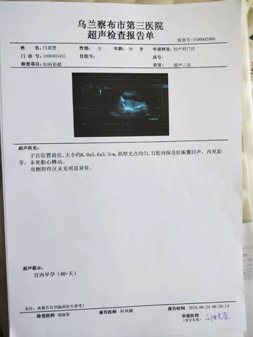 journal_insert_pic_1083124760