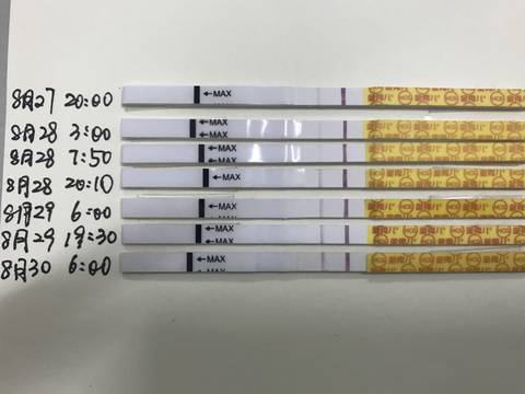 journal_insert_pic_1083637753