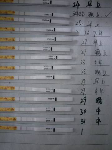 journal_insert_pic_1085378675