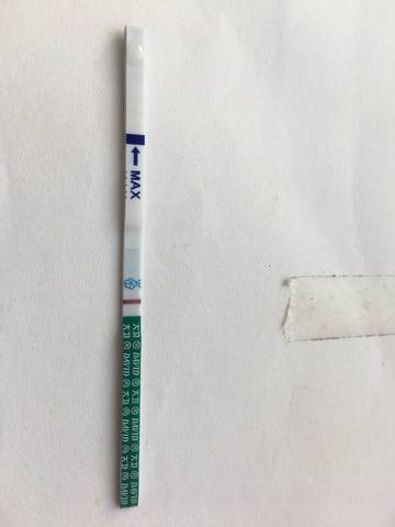 journal_insert_pic_1086046720