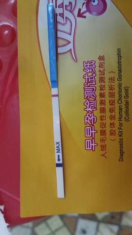 journal_insert_pic_1086339614