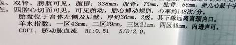 journal_insert_pic_1086304484