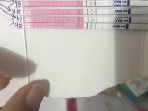 journal_insert_pic_1086533540