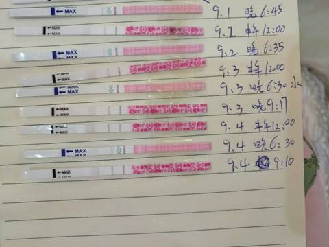 journal_insert_pic_1087128604
