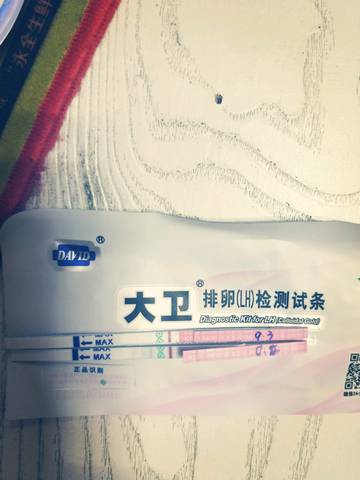 journal_insert_pic_1087008755